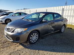 Toyota Corolla 2013