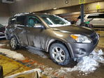 Toyota RAV 4 2010