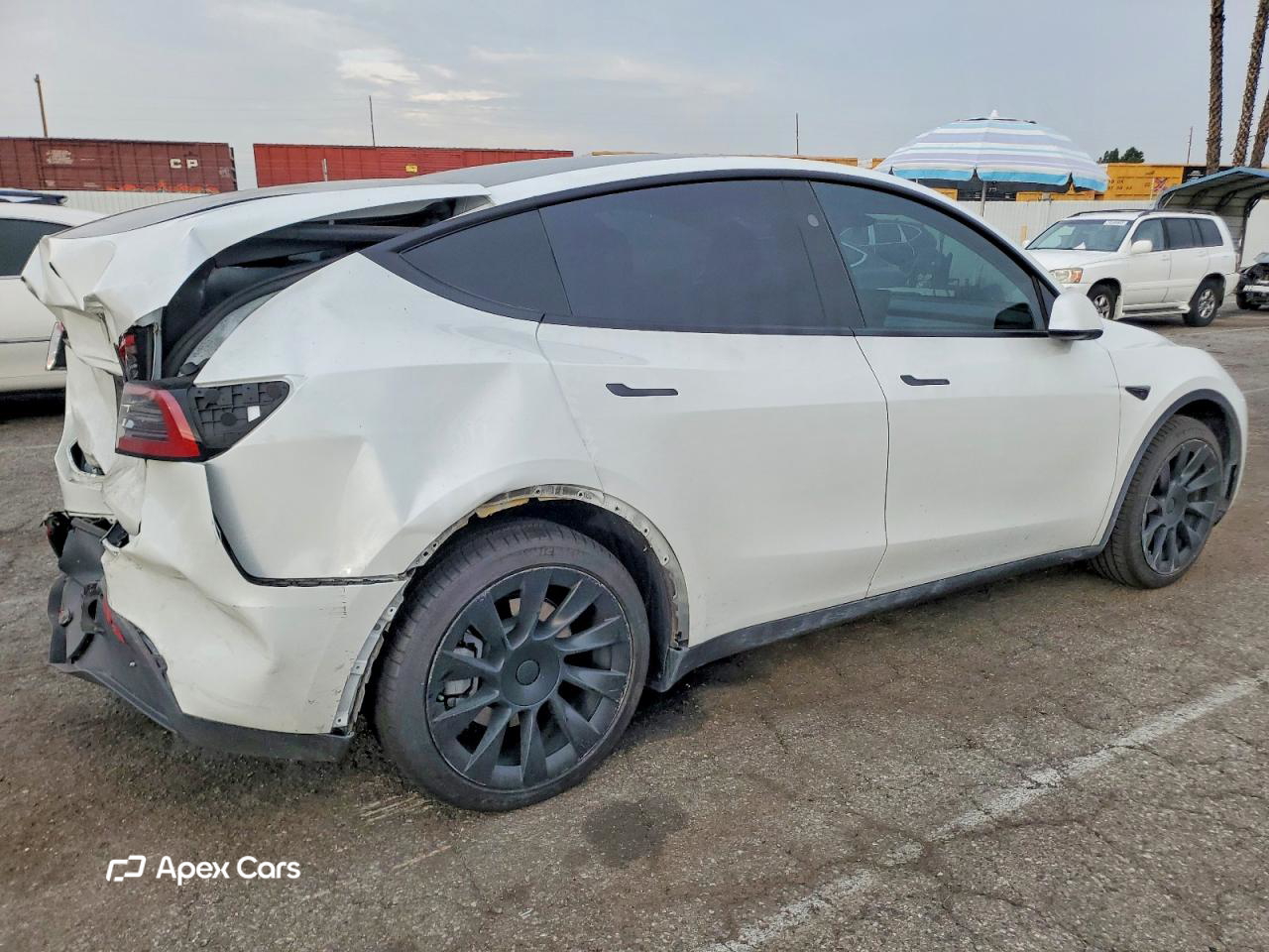 Tesla Model Y 2024