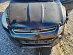 Ford Escape 2013