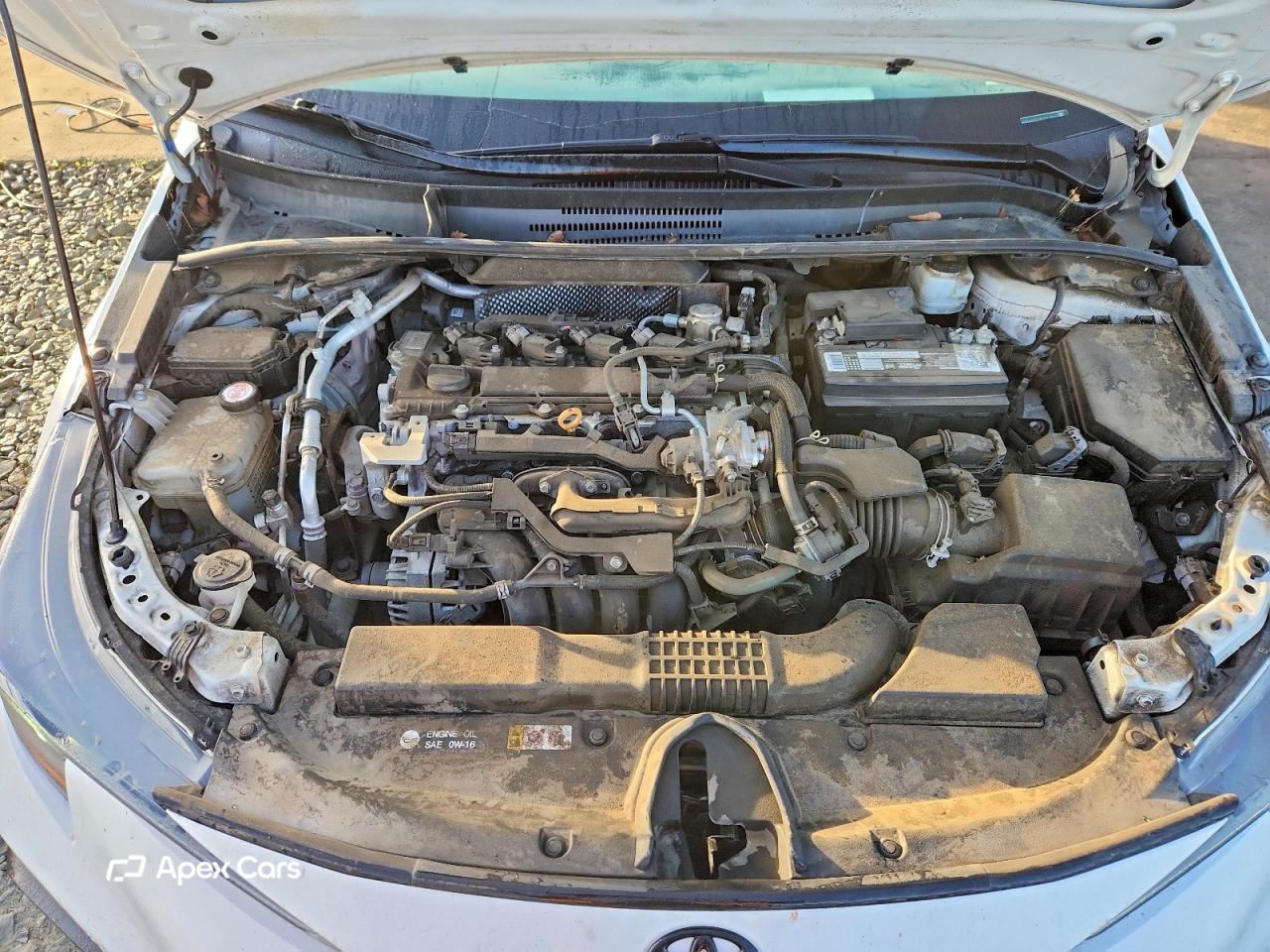 Toyota Corolla 2020
