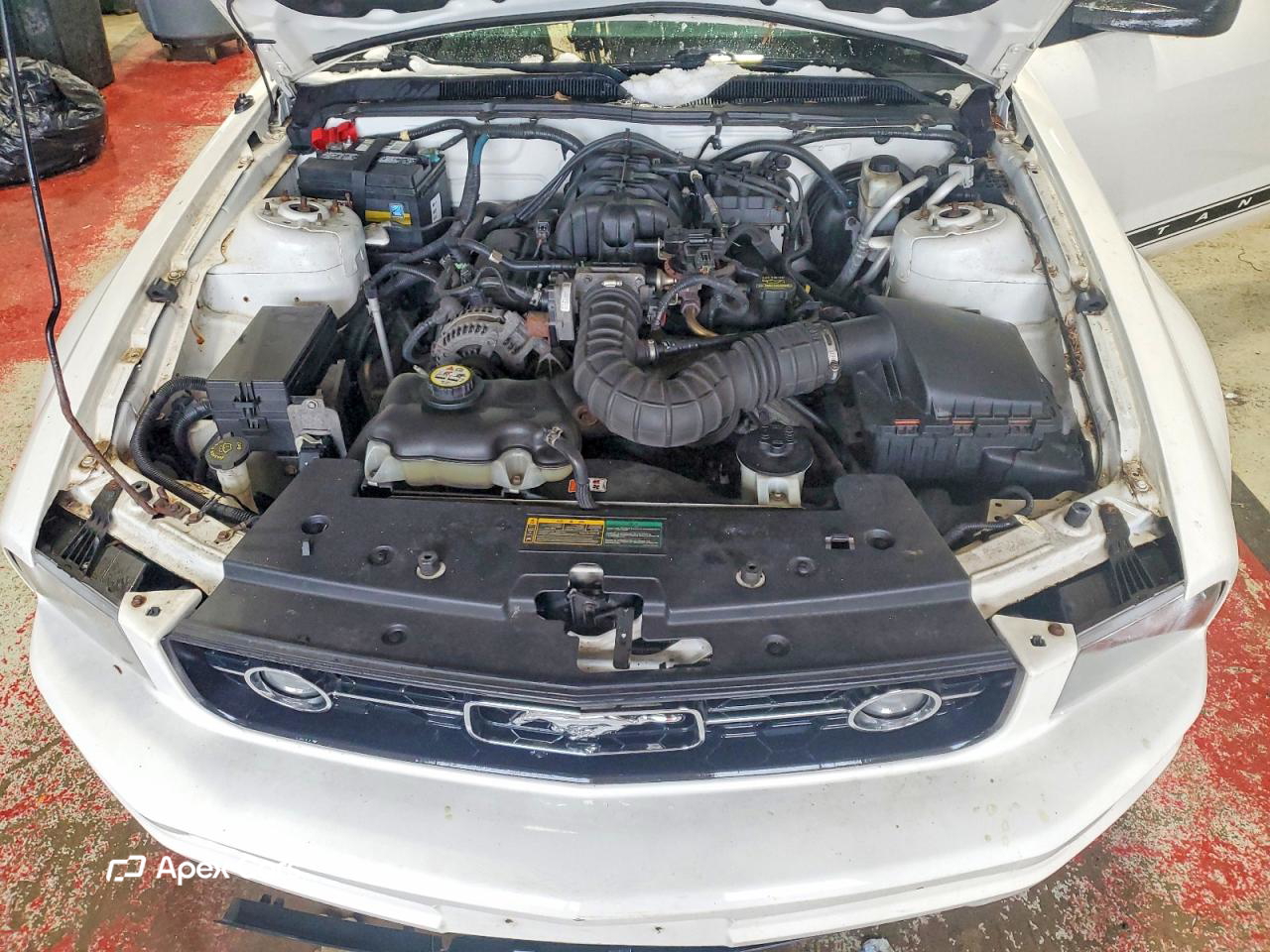 Ford Mustang 2009