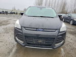 Ford Escape 2013