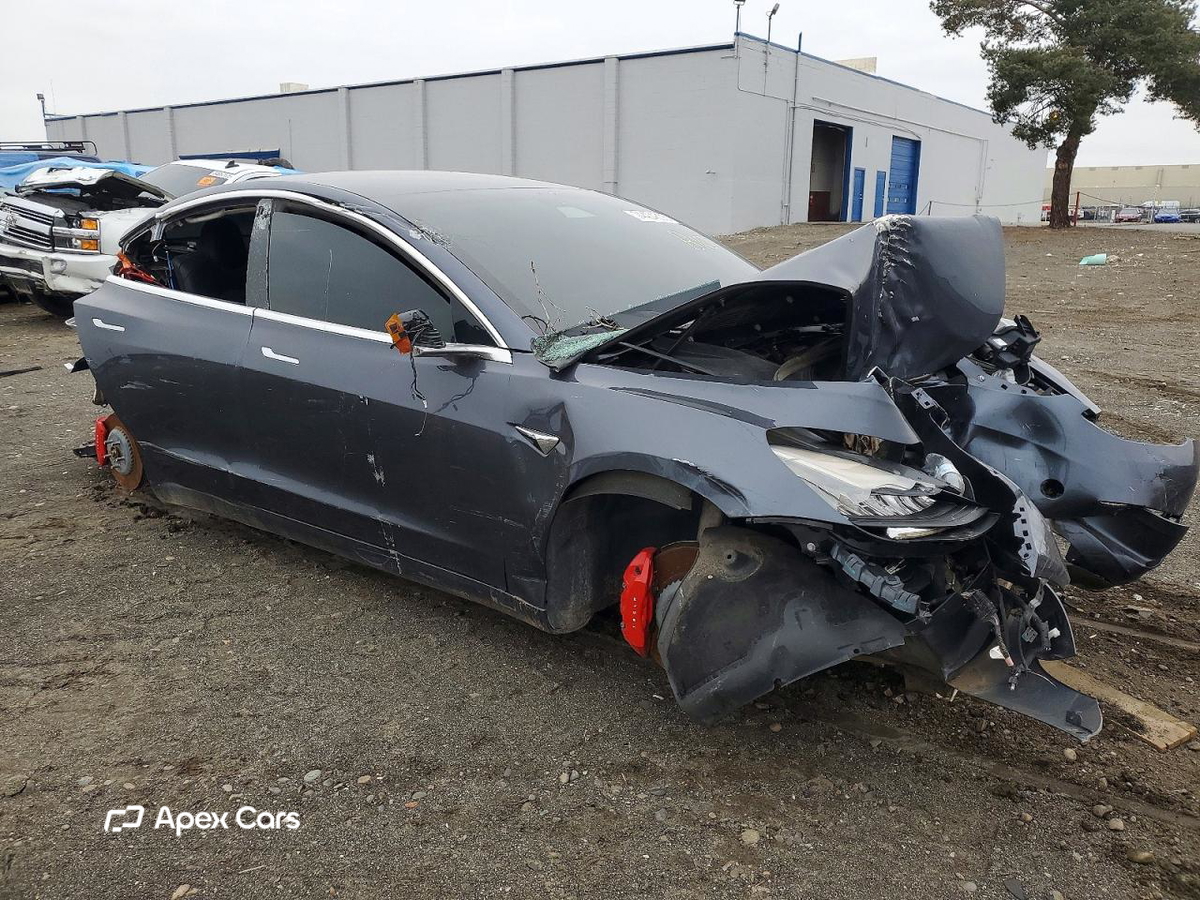 Tesla Model 3 2019