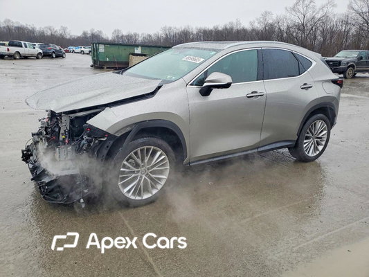 Lexus NX 2025 - Image 1 of 13