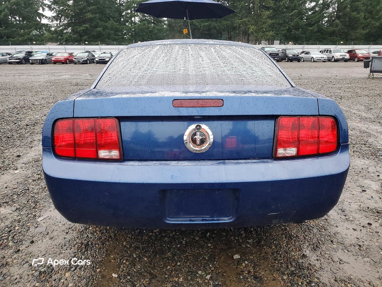 Ford Mustang 2007
