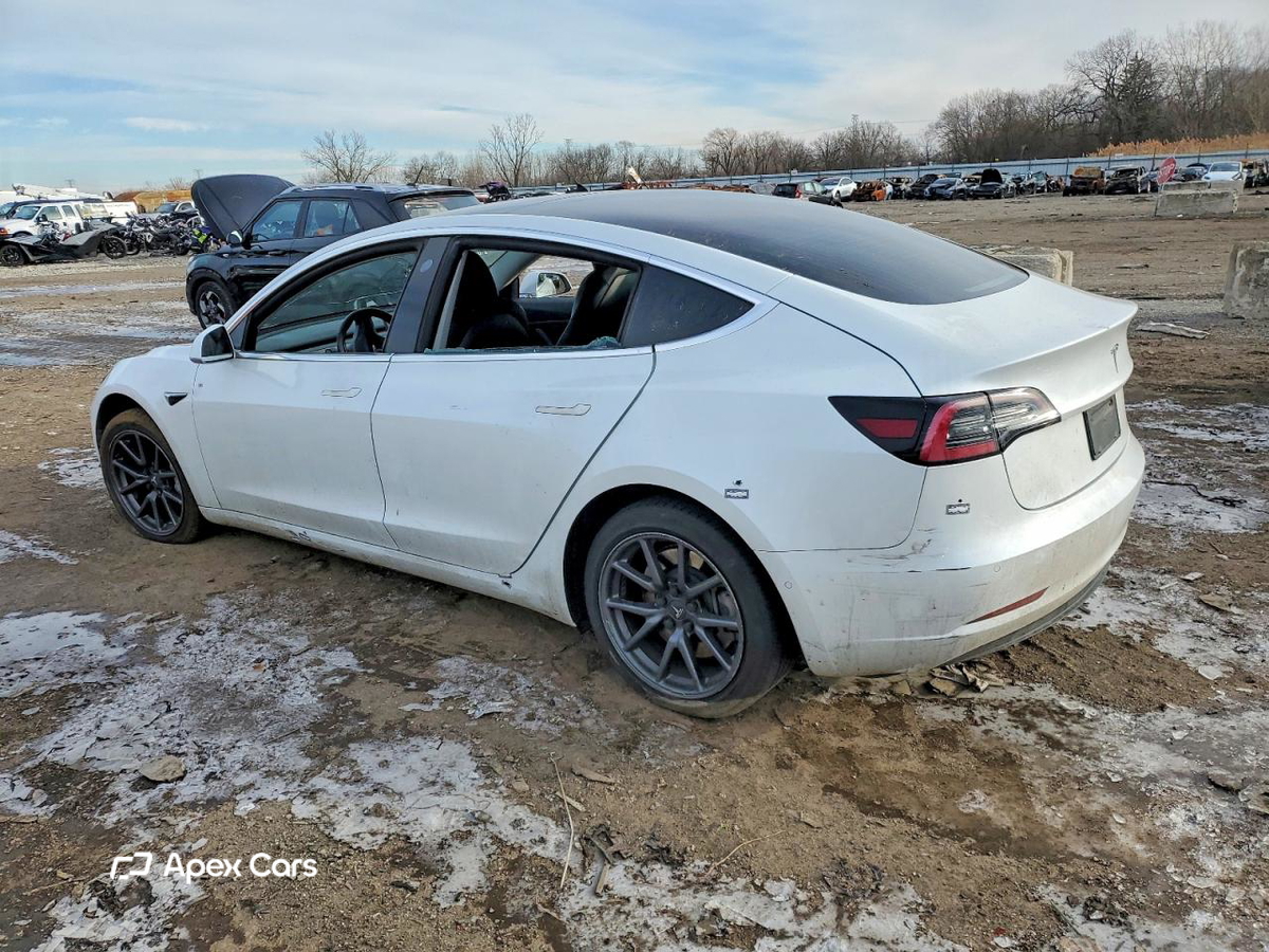 Tesla Model 3 2019
