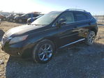 Lexus RX 2010