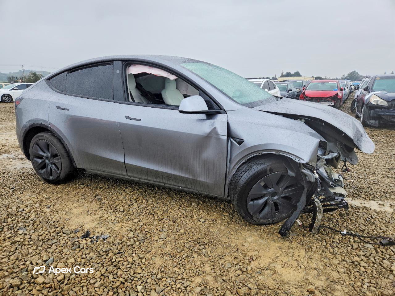 Tesla Model Y 2025