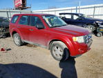 Ford Escape 2011