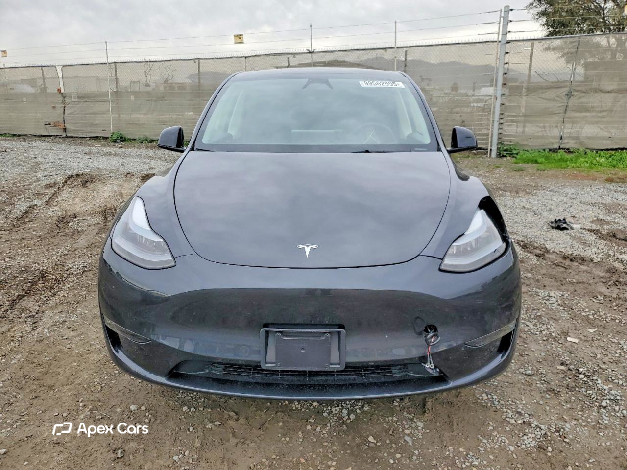 Tesla Model Y 2025