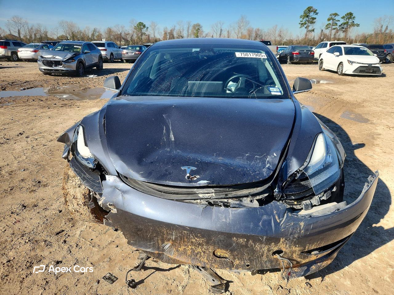 Tesla Model 3 2018
