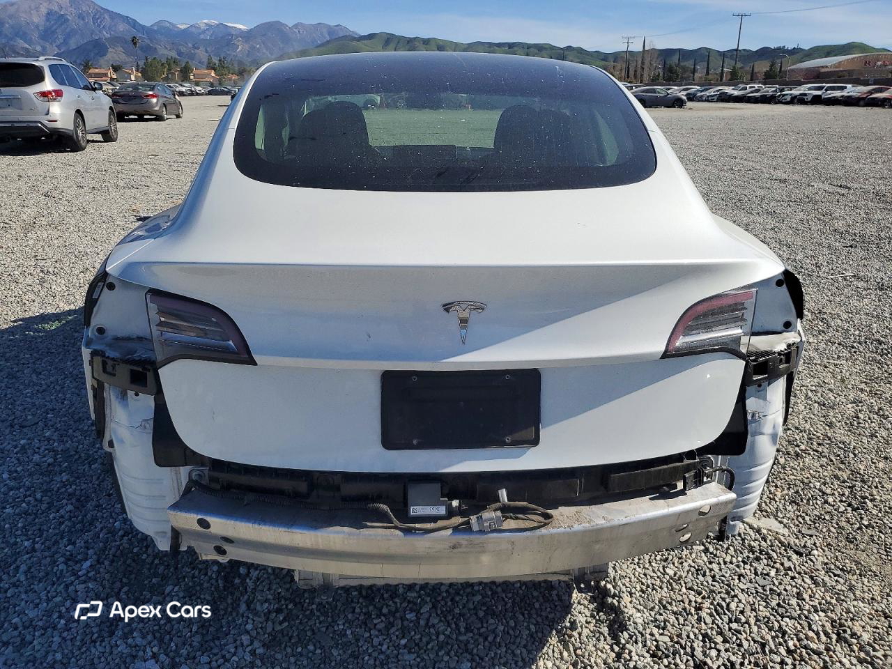 Tesla Model 3 2019