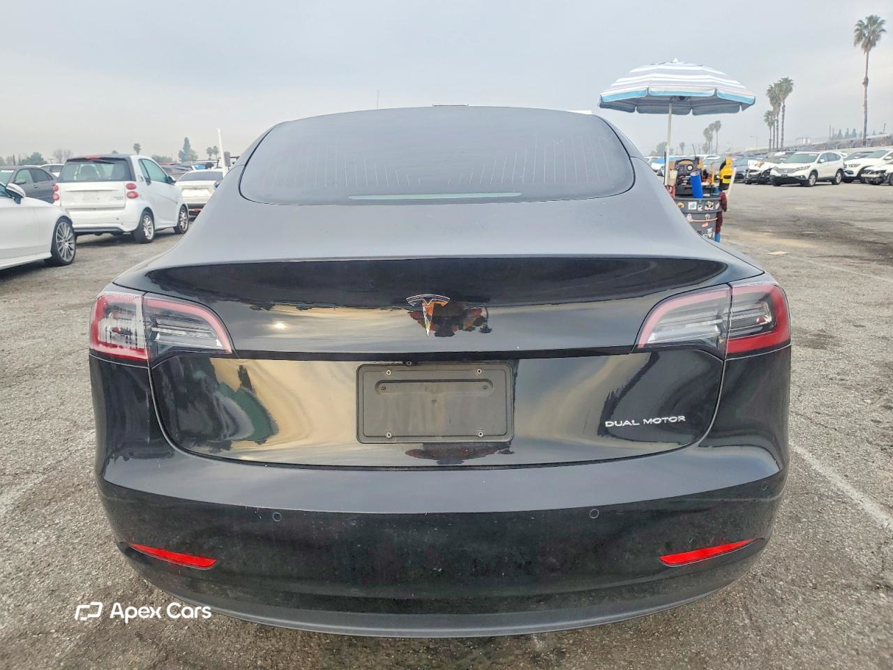 Tesla Model 3 2020