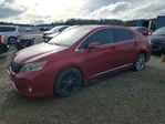 Lexus HS 2010