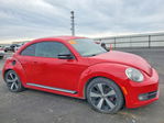 Volkswagen Beetle 2012