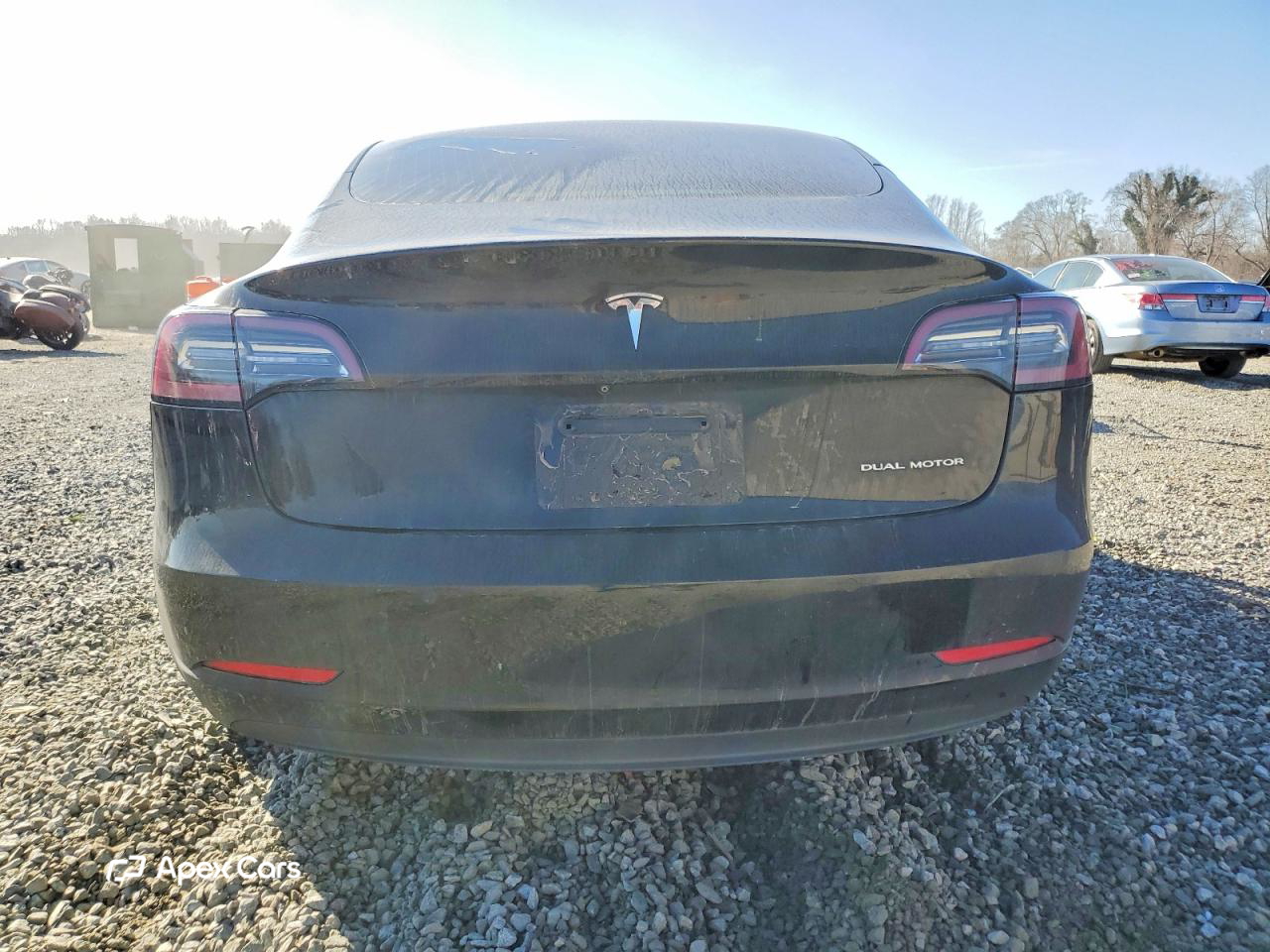 Tesla Model 3 2019