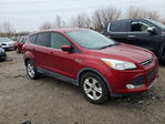 Ford Escape 2015