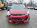 Ford Escape 2014