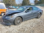Lexus ES 2023