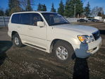 Lexus LX 2000