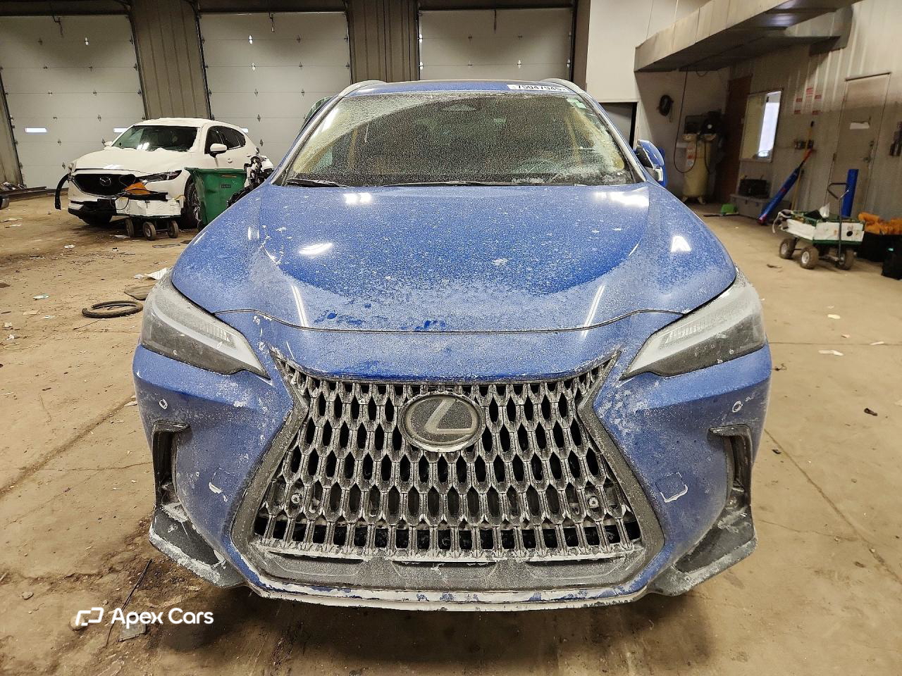 Lexus NX 2025