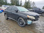 Lexus RX 2010