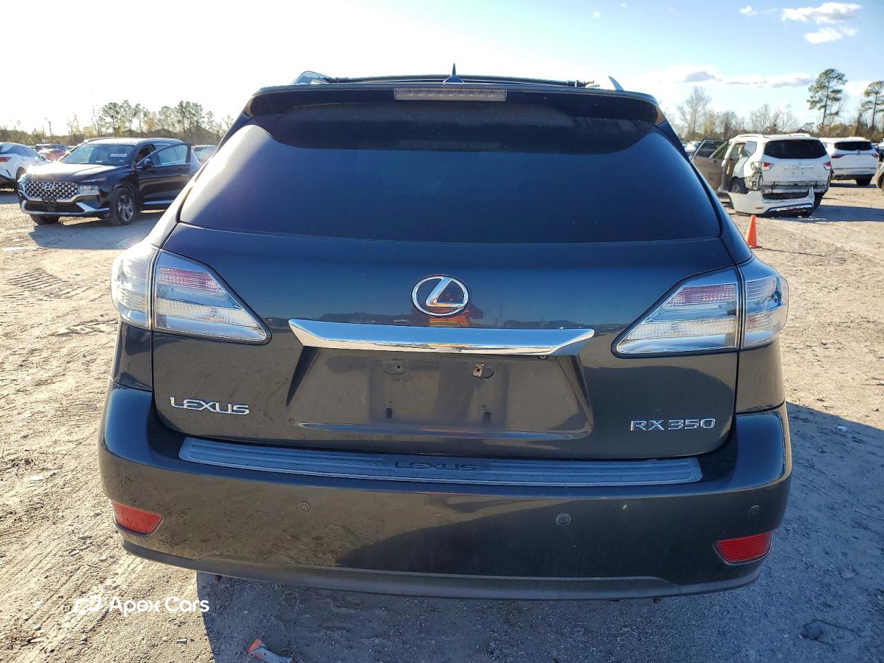 Lexus RX 2010