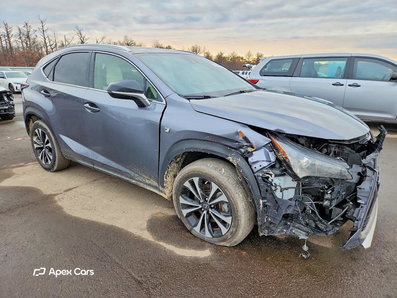 Lexus NX 2021