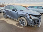 Lexus NX 2021