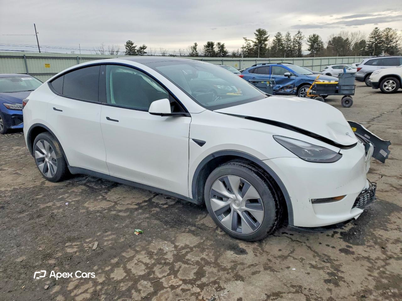 Tesla Model Y 2023