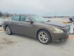 Nissan Maxima 2013