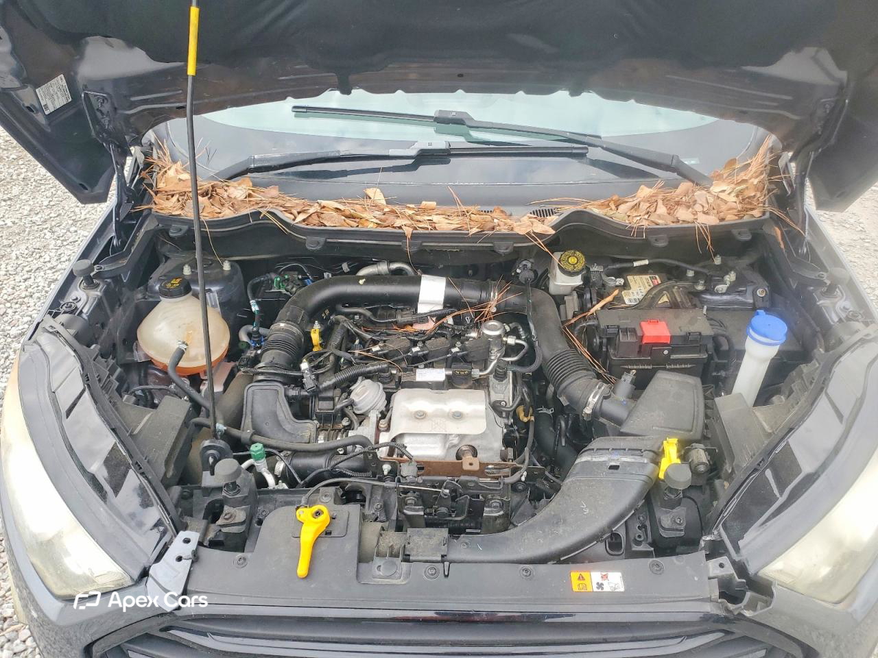 Ford EcoSport 2020