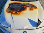 BMW Series 3 2013