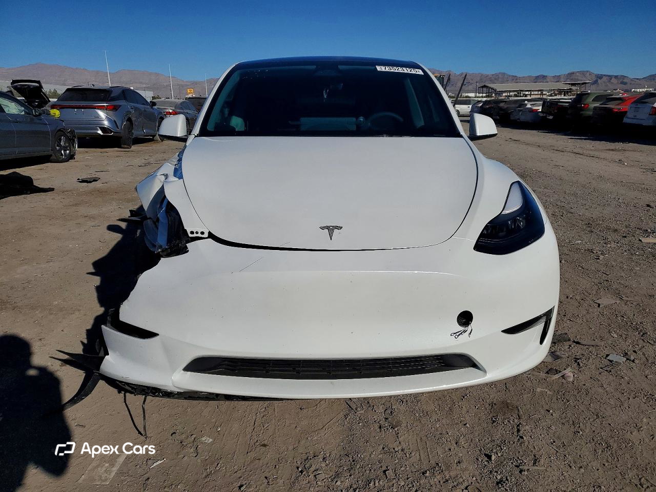 Tesla Model Y 2025