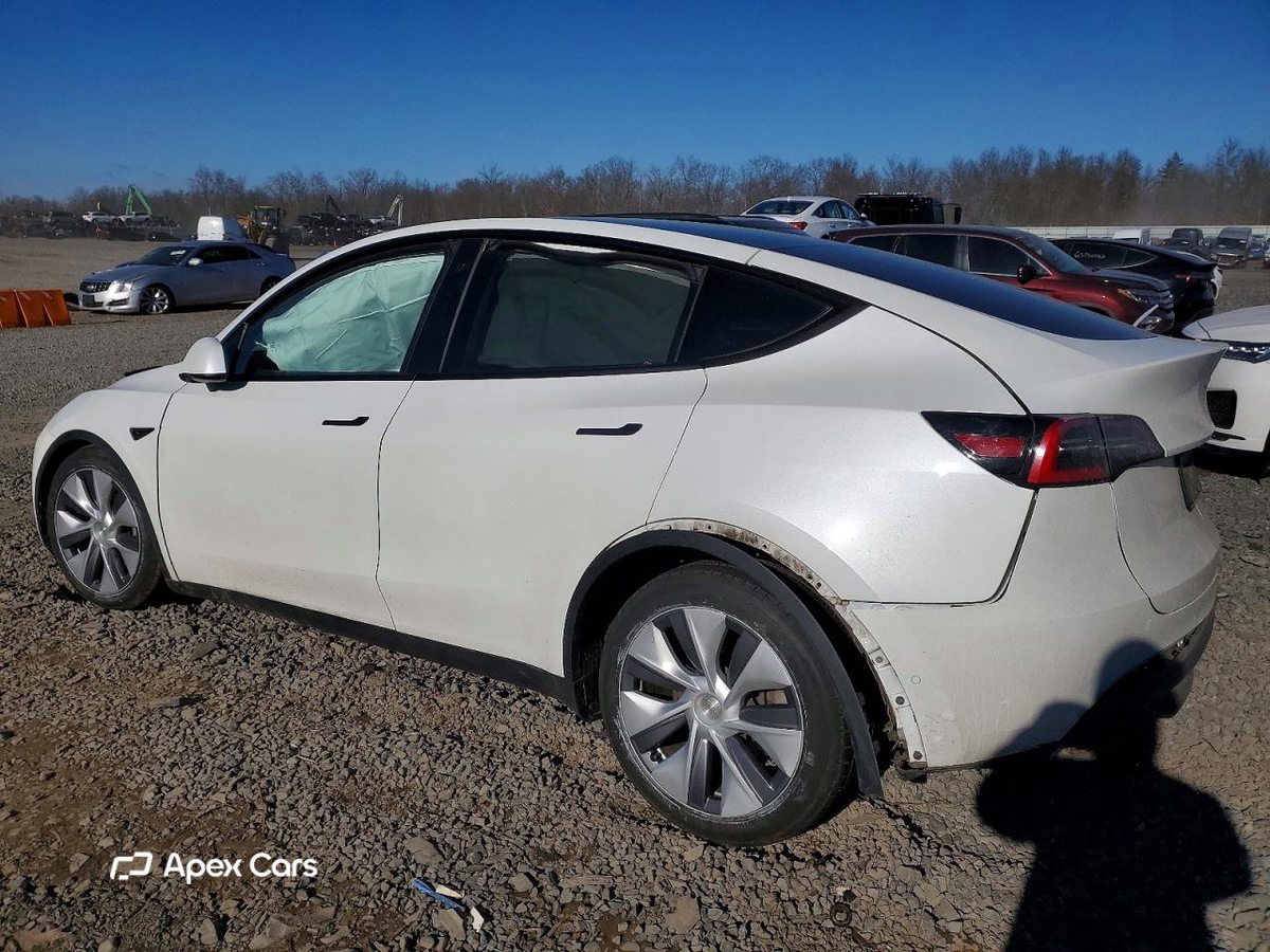Tesla Model Y 2020