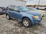 Ford Escape 2010