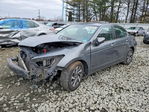 Honda Accord 2010