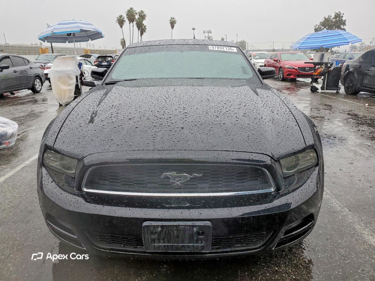 Ford Mustang 2013