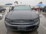 Ford Mustang 2013