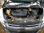 Ford Escape 2015