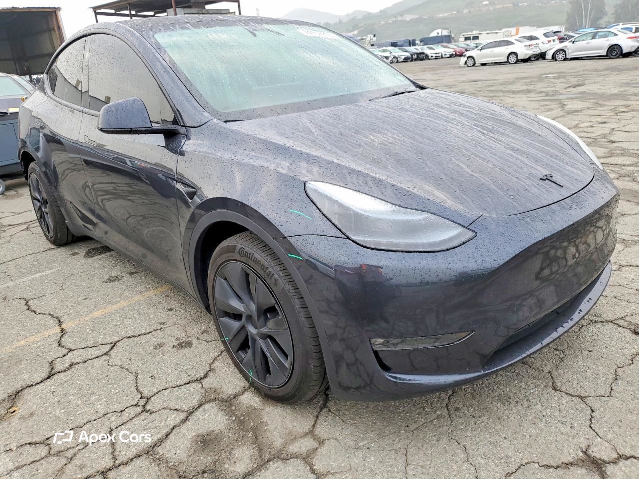 Tesla Model Y 2024
