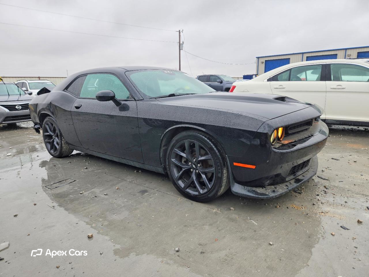 Dodge Challenger 2019