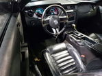 Ford Mustang 2013