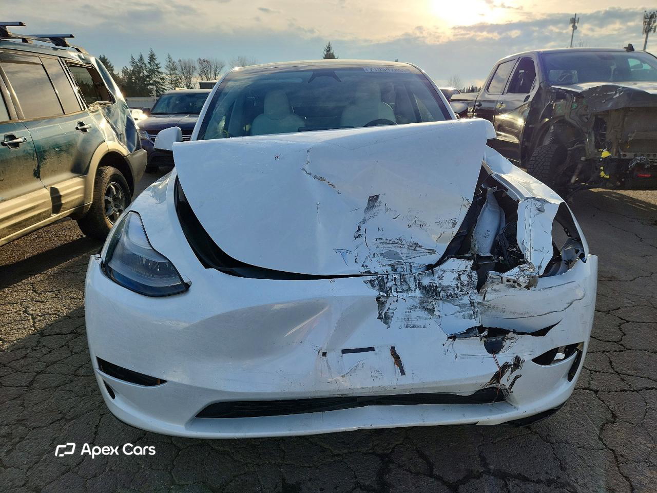 Tesla Model Y 2023