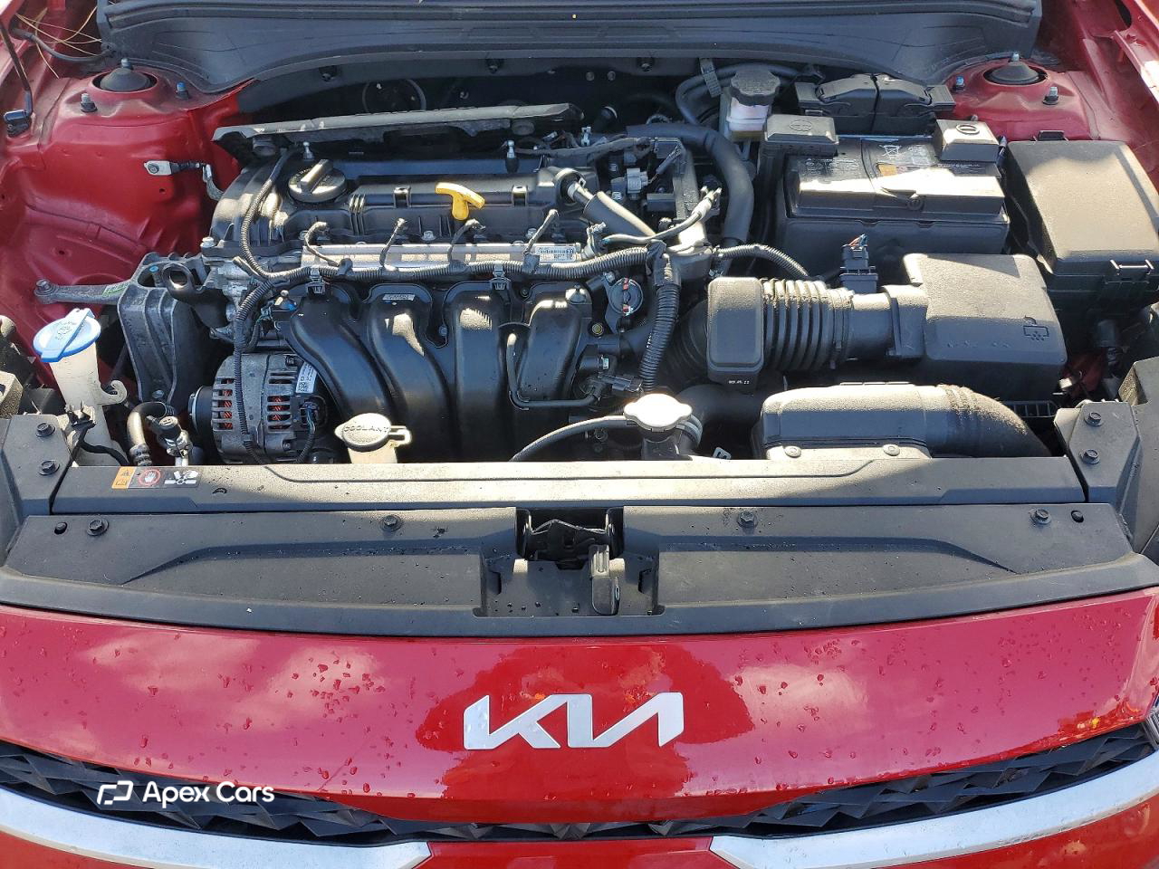 Kia Forte 2024