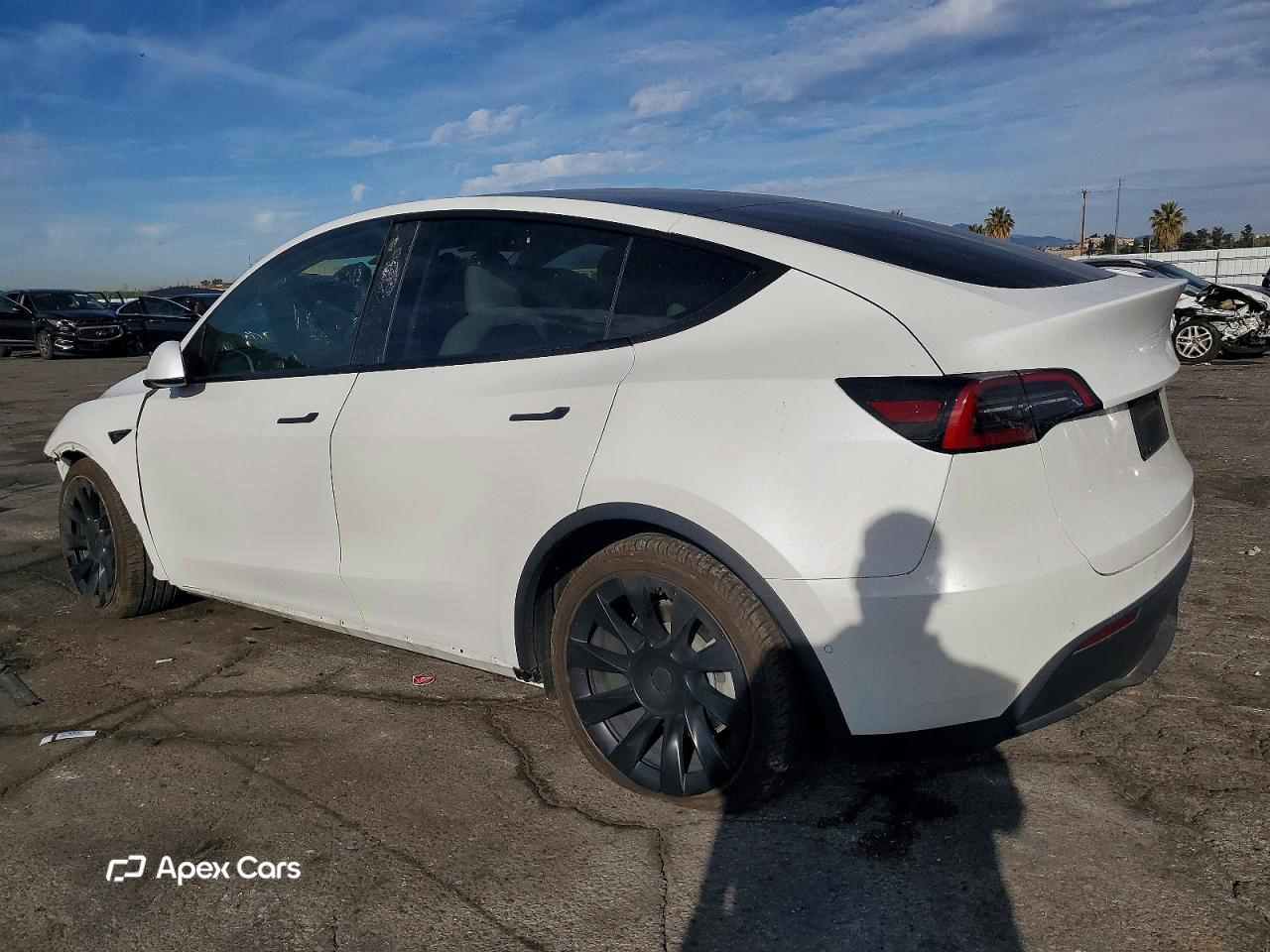 Tesla Model Y 2021