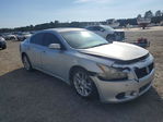 Nissan Maxima 2010