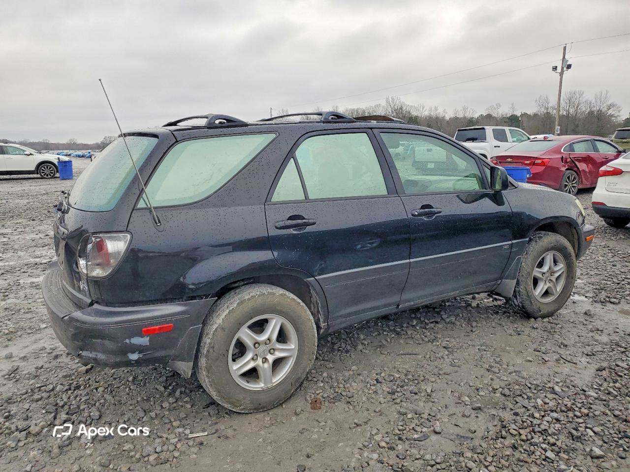Lexus RX 2002