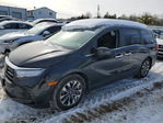 Honda Odyssey 2023
